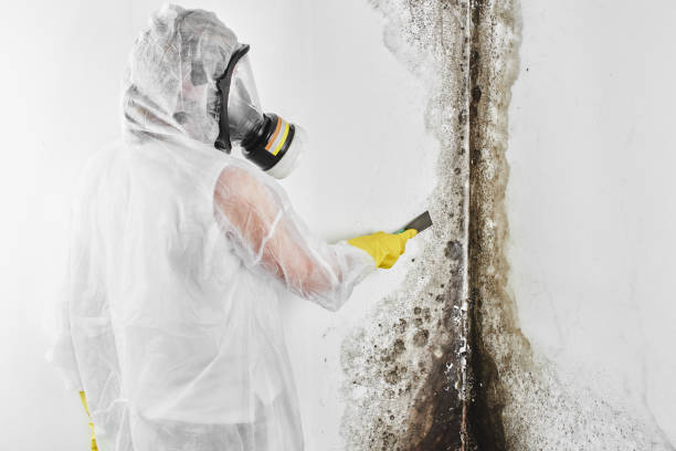  North Vacherie, LA Mold Removal Pros