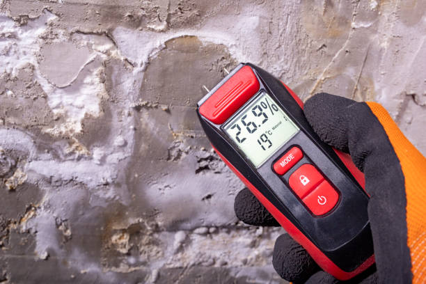 Best Residential Mold Removal  in North Vacherie, LA