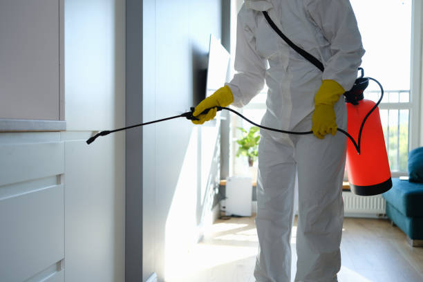 Certified Mold Removal in North Vacherie, LA