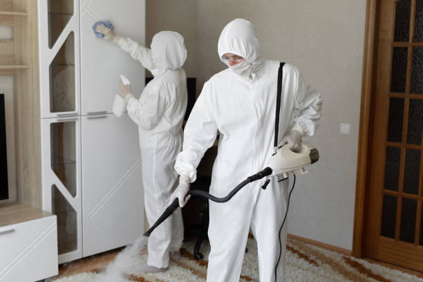 Best Fast Mold Removal  in North Vacherie, LA
